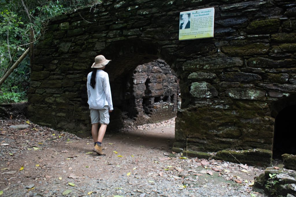 Alexander Von Humboldt Store - Lost city Of Falan